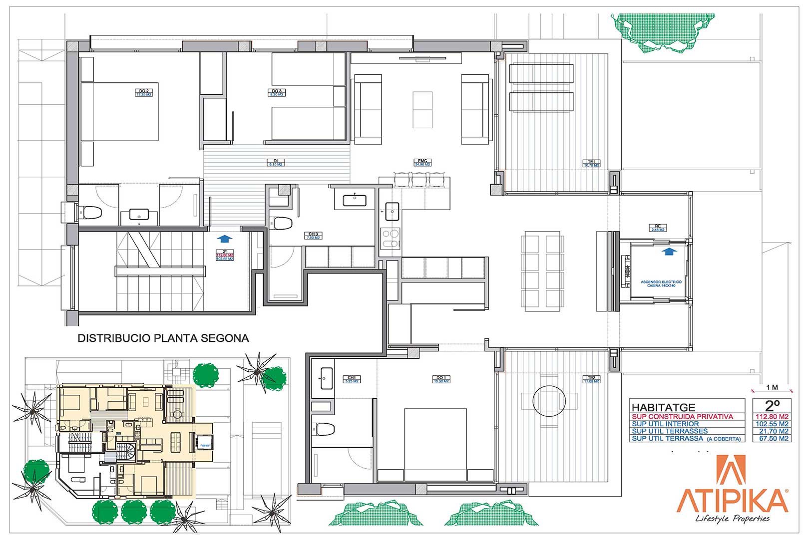 Plano 1