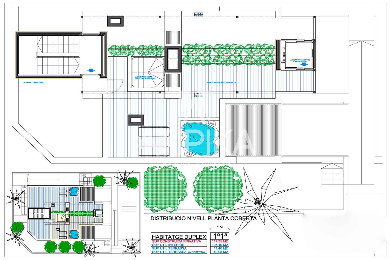 Plano 3