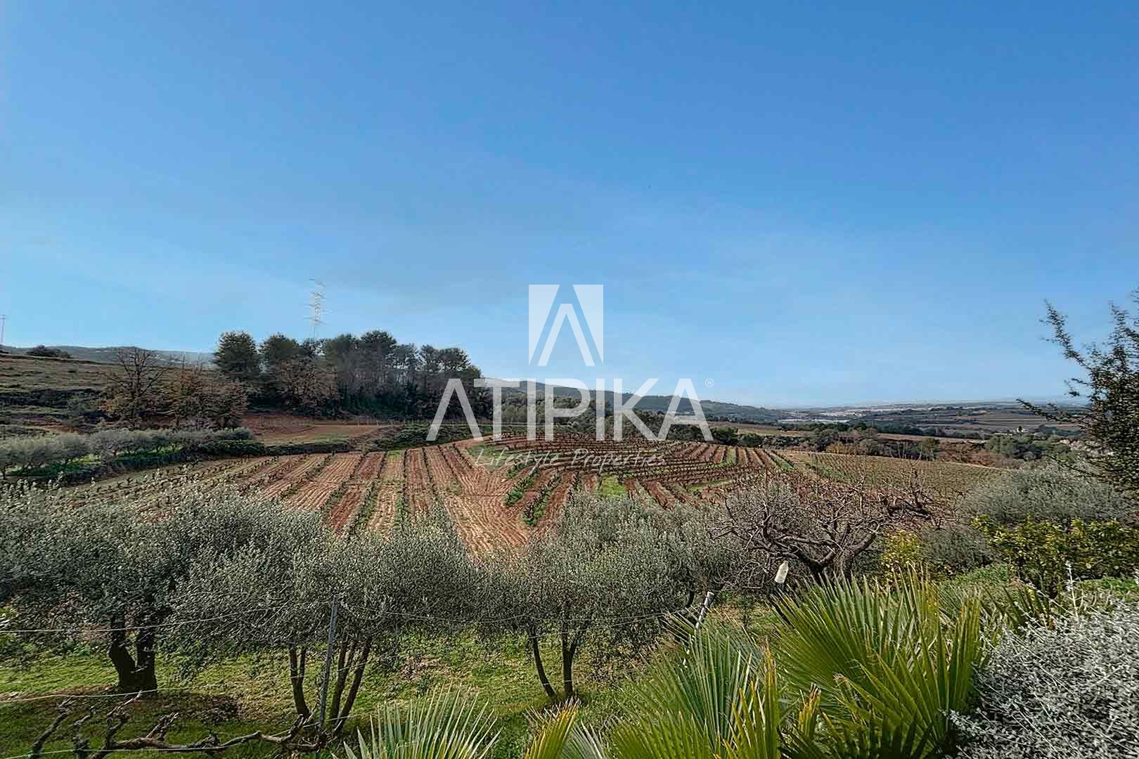 Foto 54
