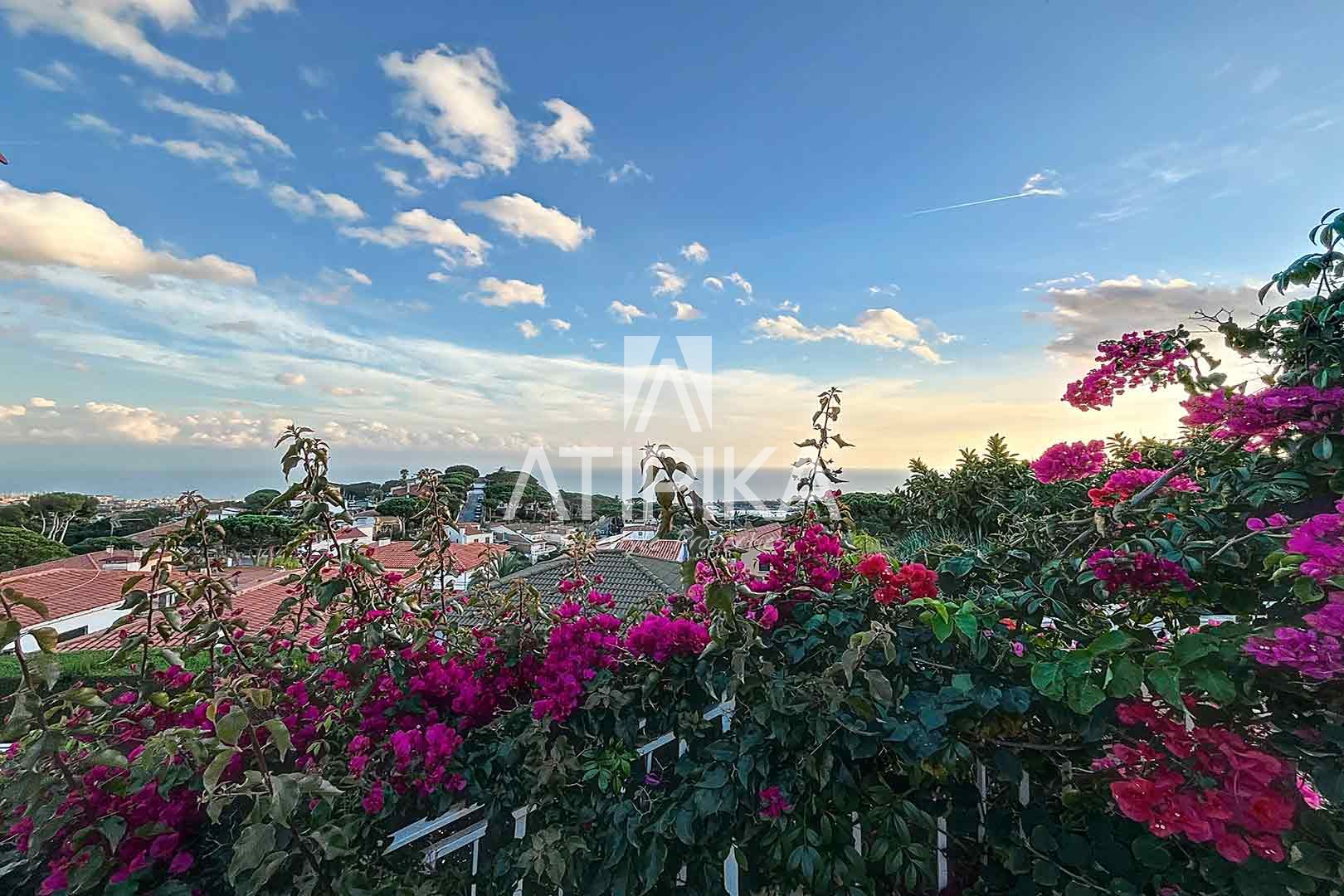 Foto 29