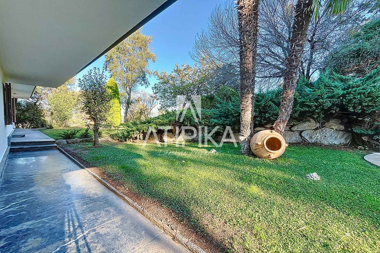 Foto 62