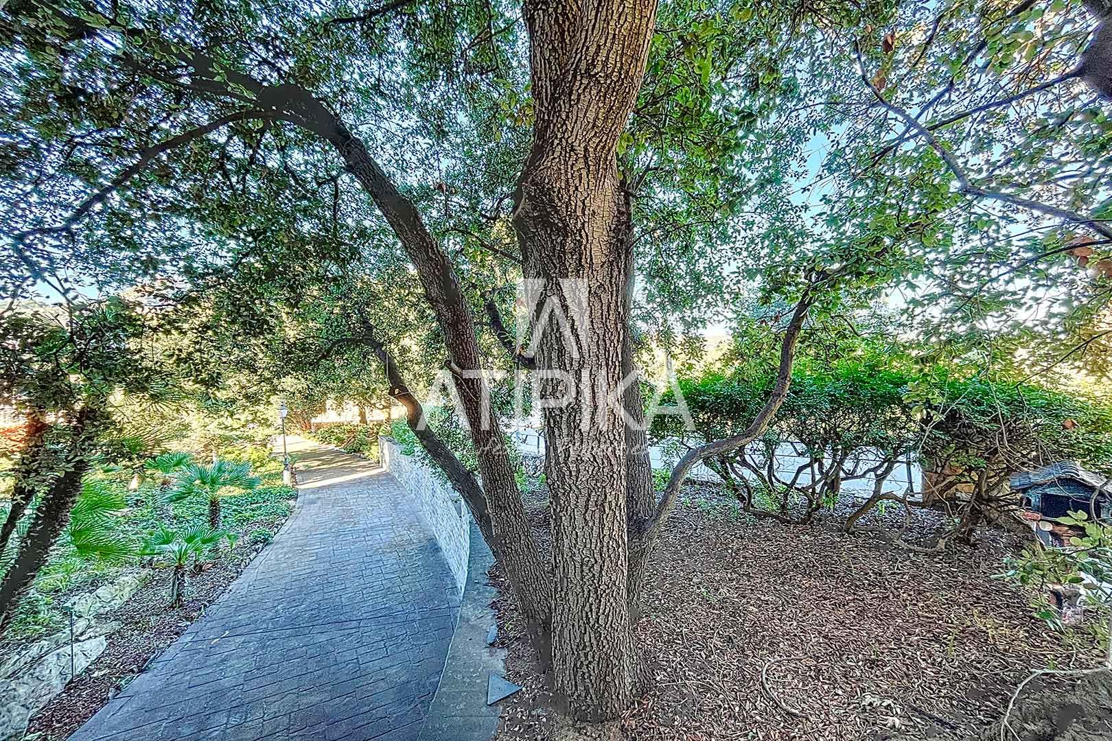 Foto 64
