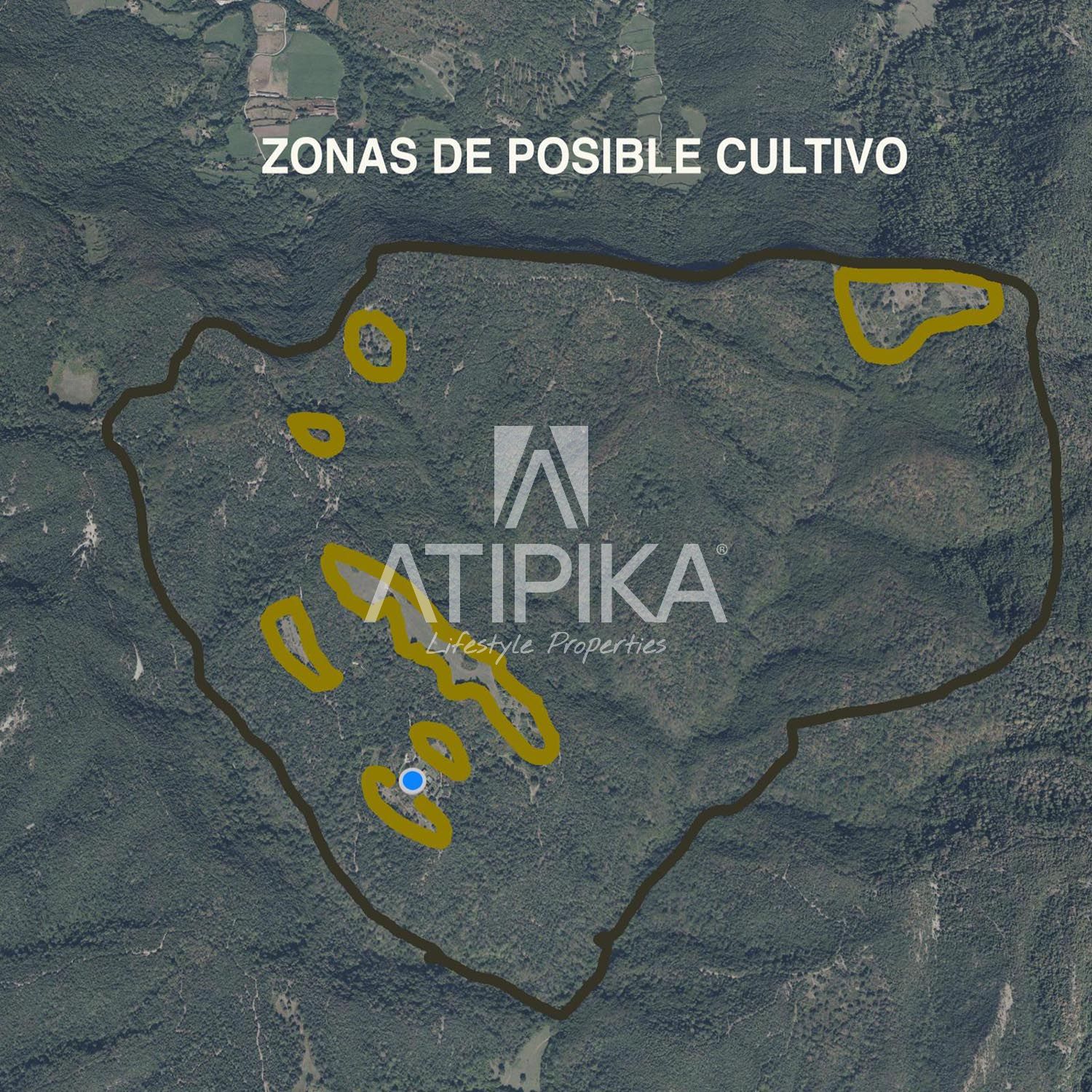 Plano 15