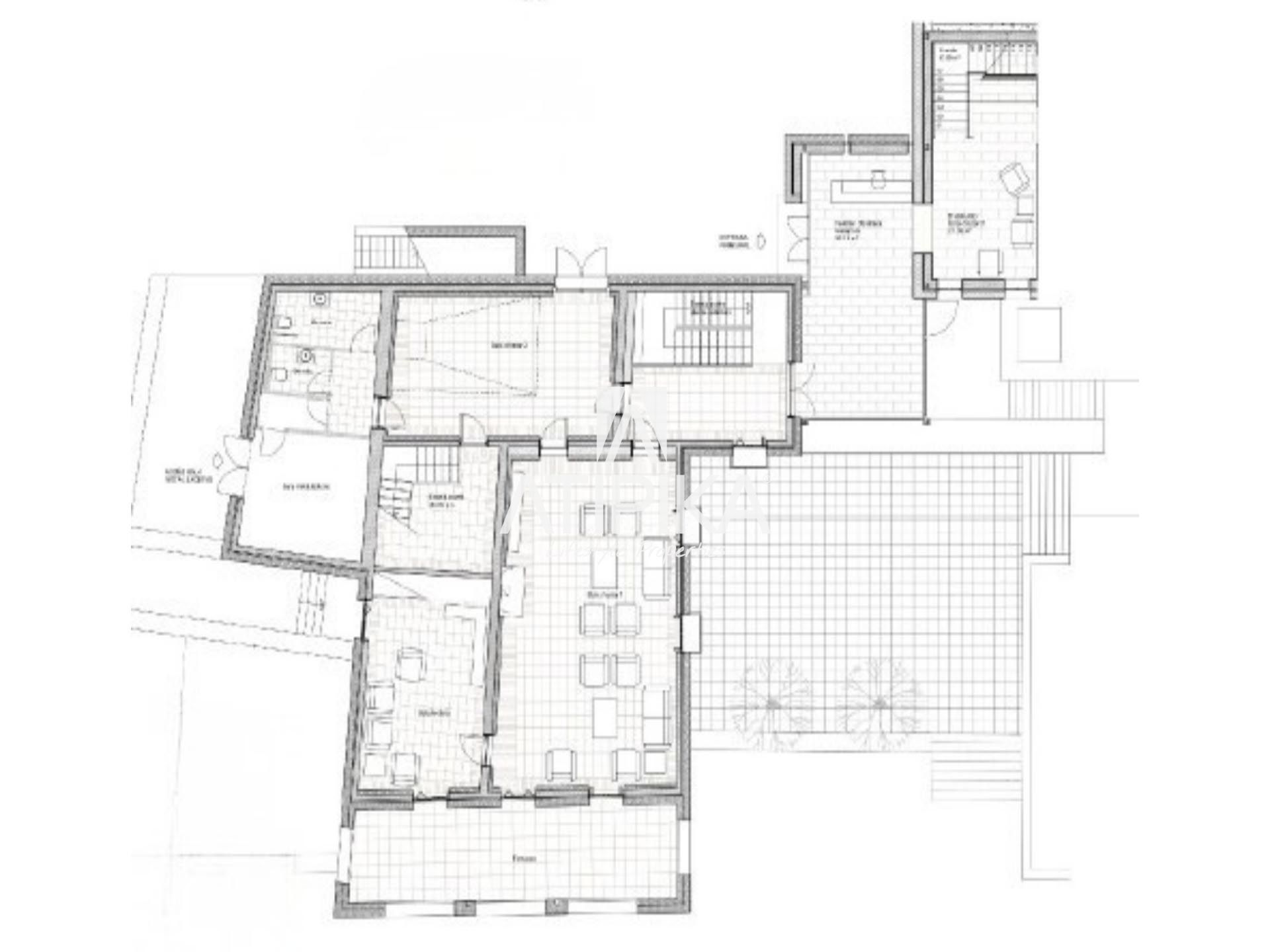 Plano 6