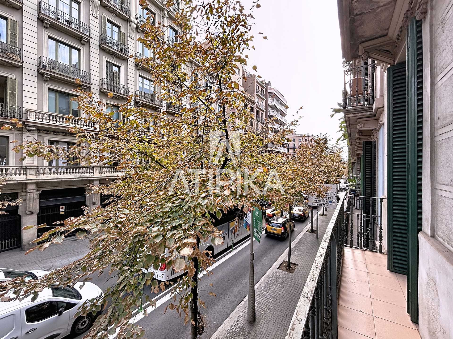Foto 44