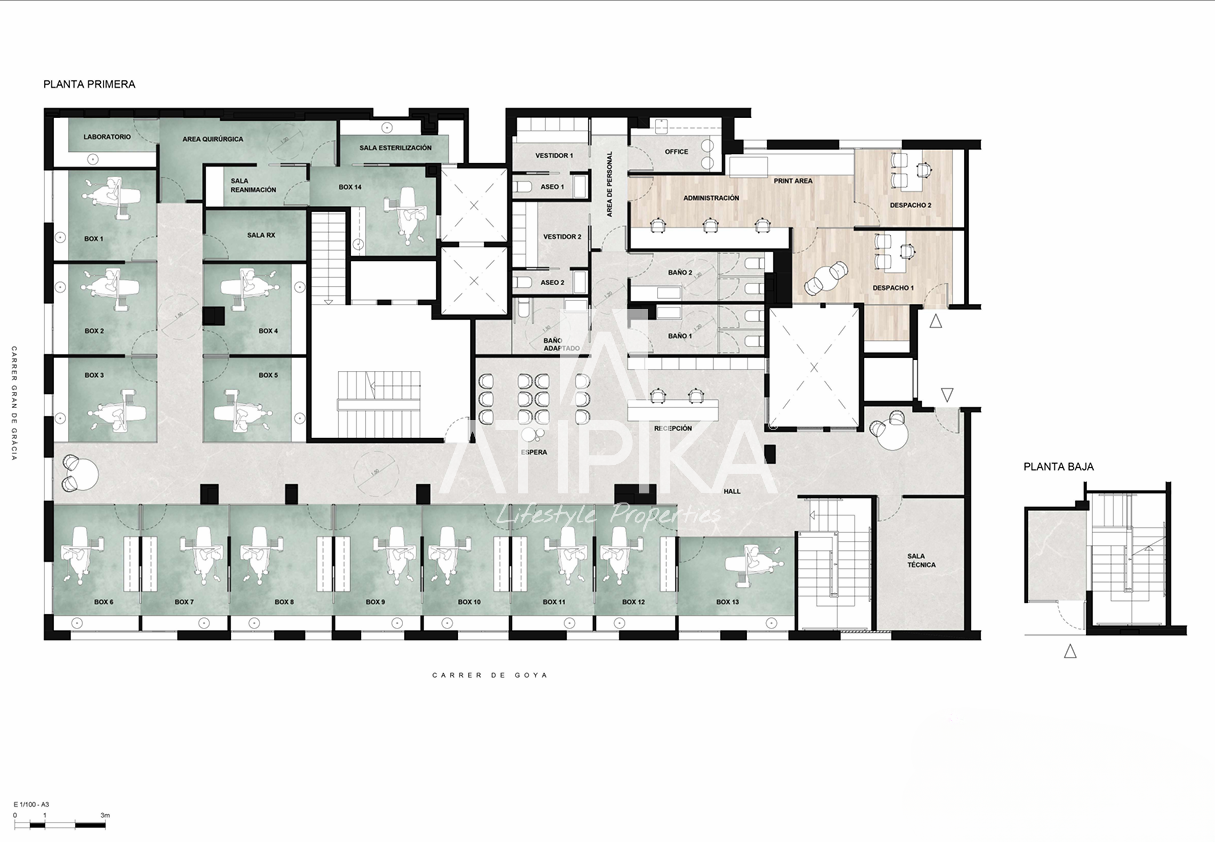 Plano 1
