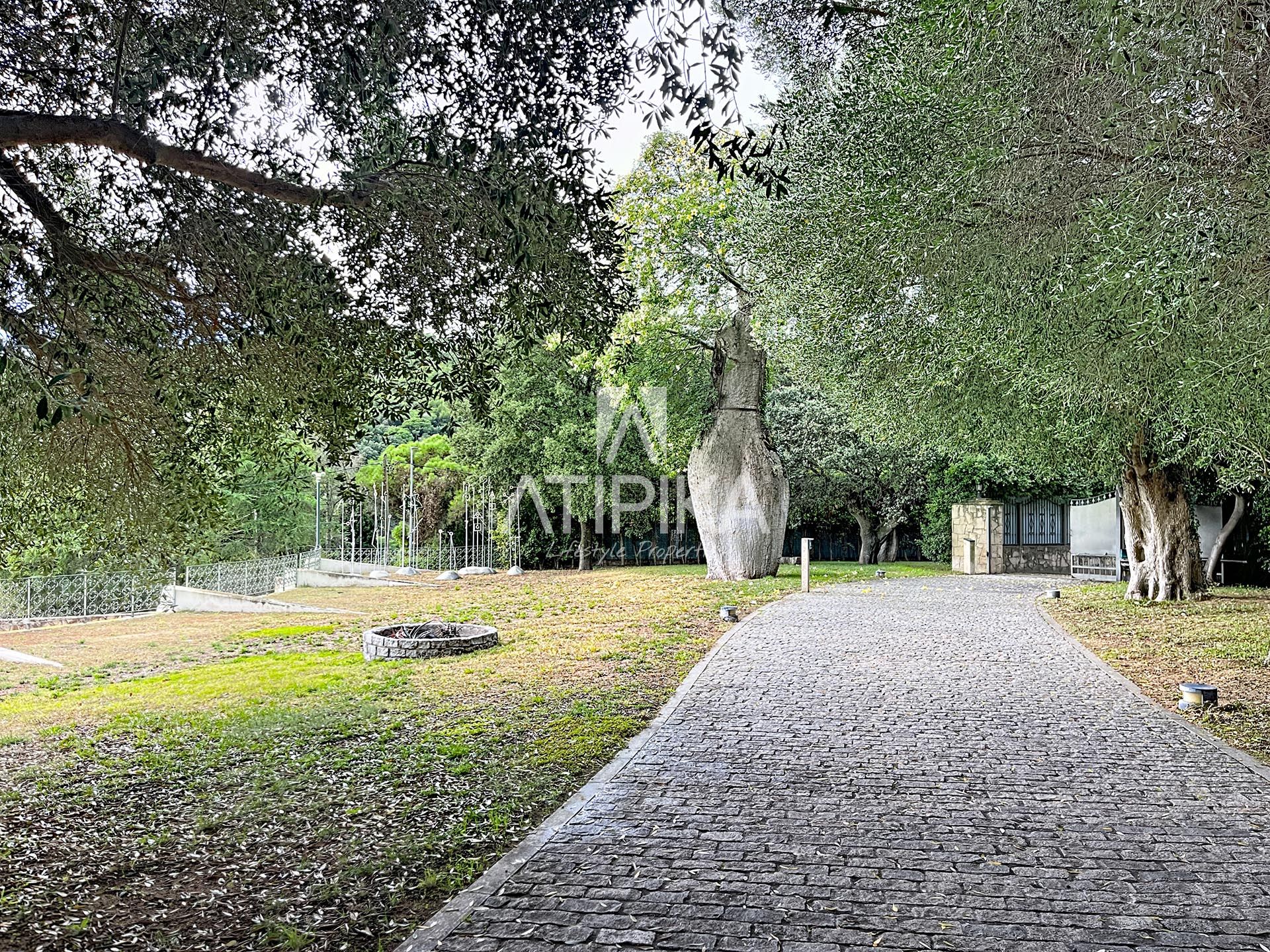 Foto 63