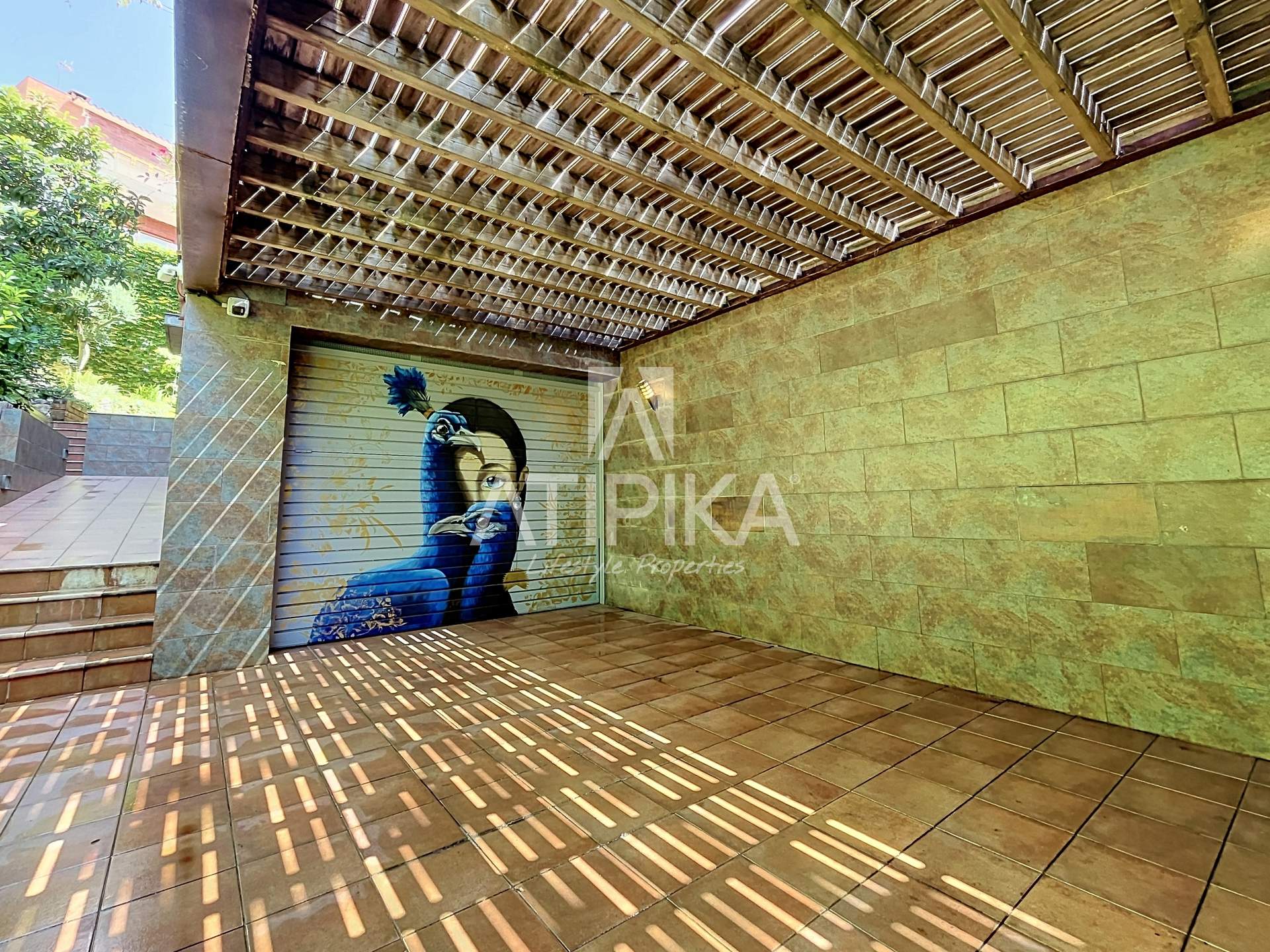 Foto 61