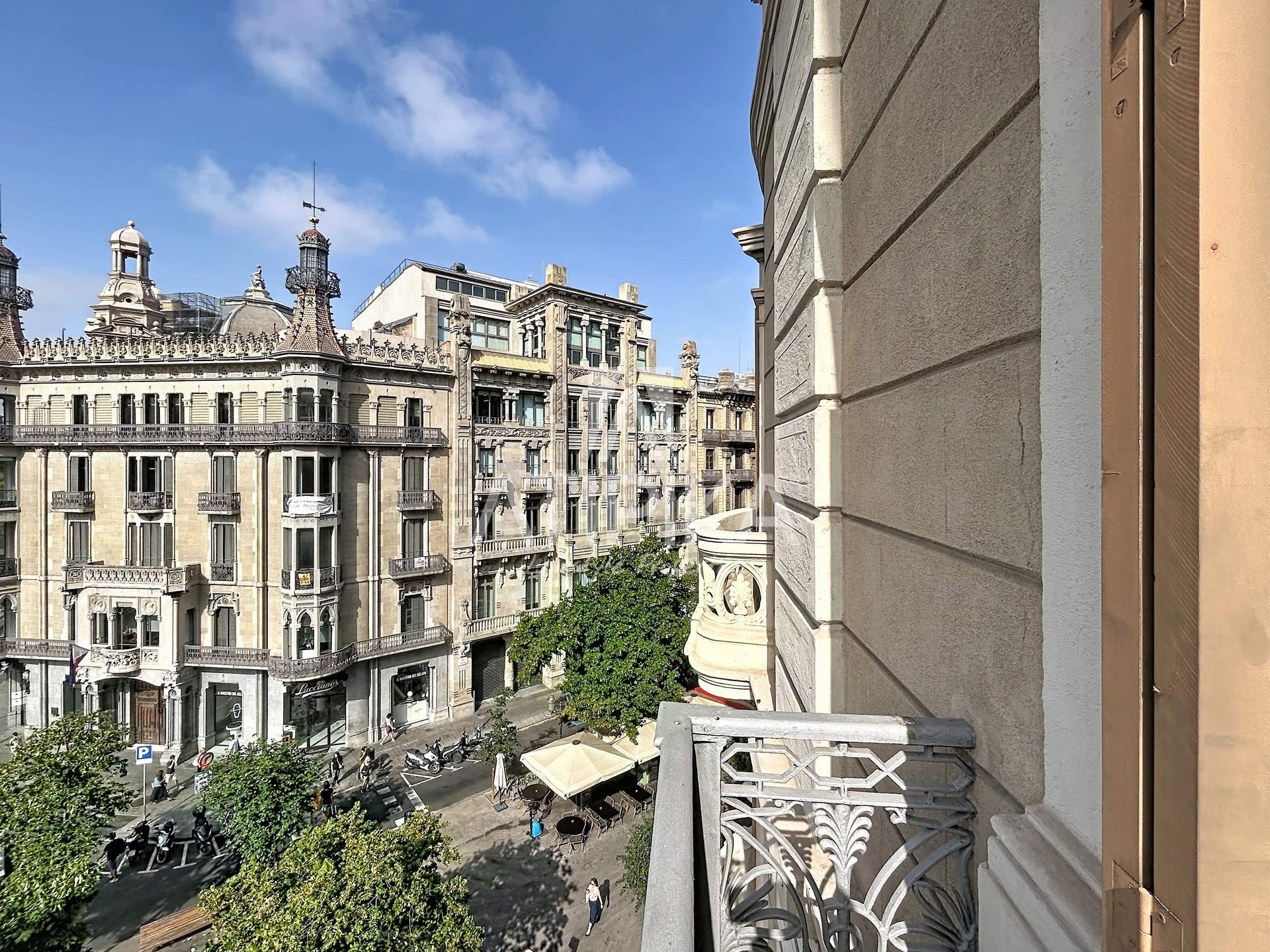 Foto 51
