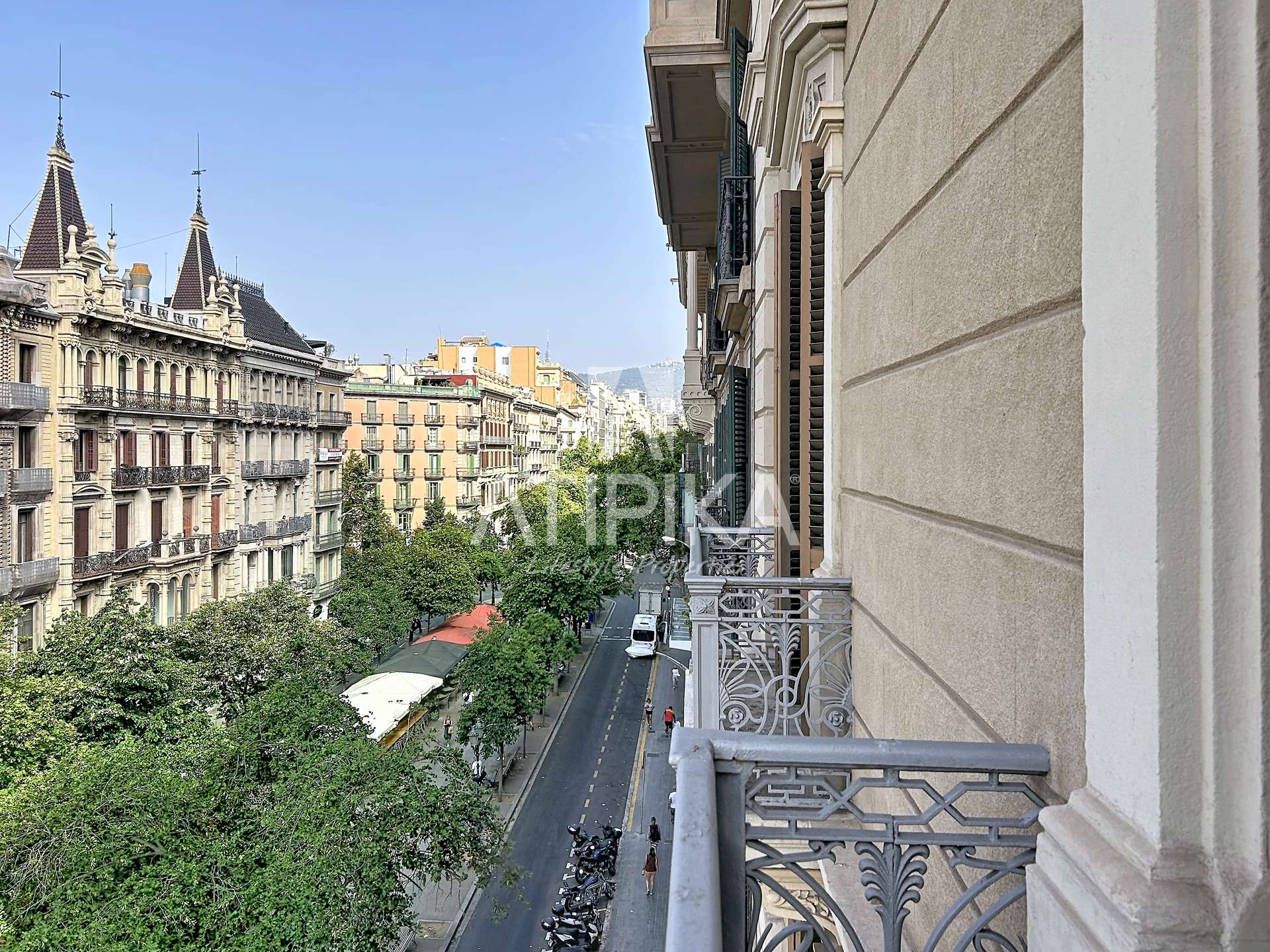Foto 53